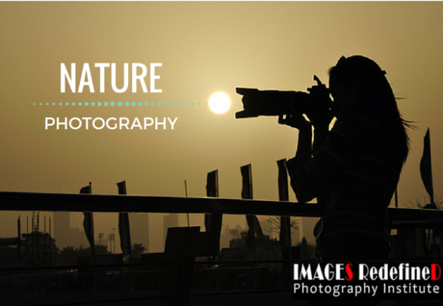 Images Redefined - NATURE Photography